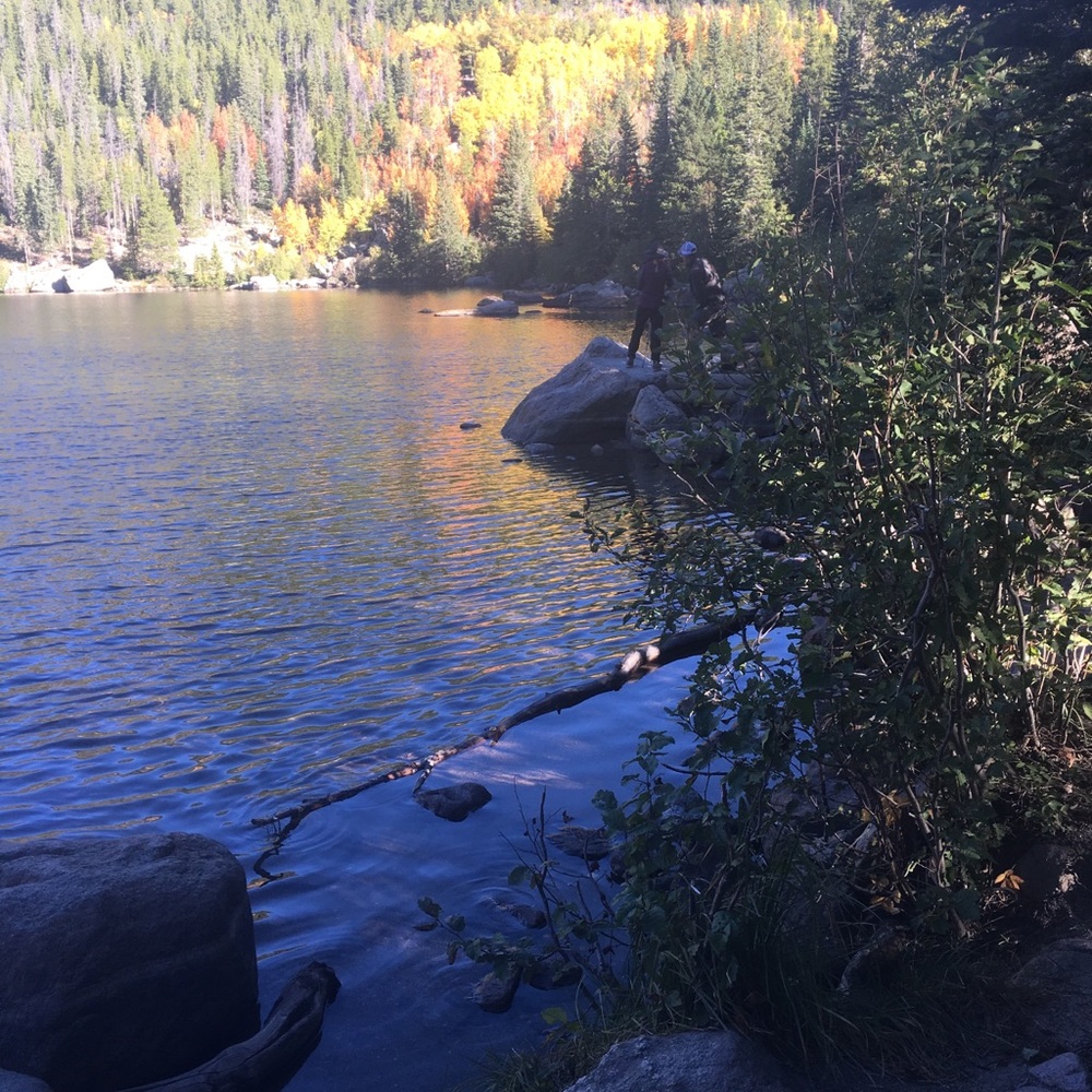 Meet your Posher, Nelly